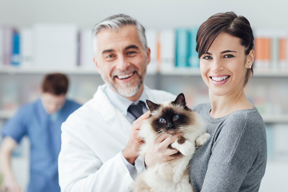 10 key considerations before choosing a veterinary clinic