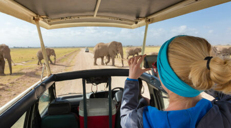 3 African safaris that will offer the best adventure