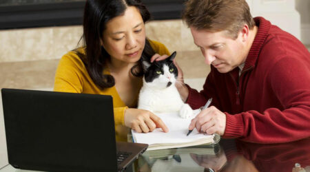 Things you should know about pet insurance