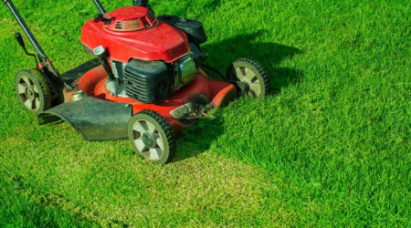 Tips for choosing the best lawn mower