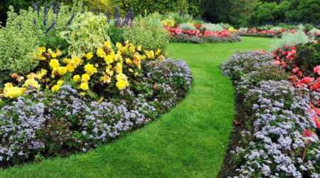 Tips for maintaining a neat and beautiful garden