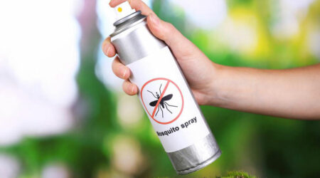 Why are mosquito control measures important for you?