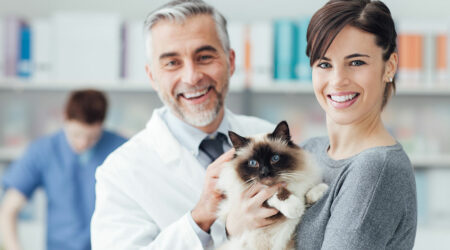 10 key considerations before choosing a veterinary clinic